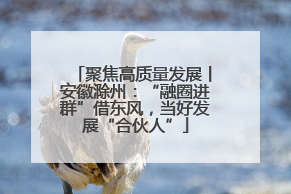 聚焦高质量发展丨安徽滁州：“融圈进群”借东风，当好发展“合伙人”