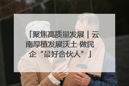 聚焦高质量发展｜云南厚植发展沃土 做民企“最好合伙人”