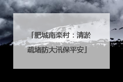 肥城南栾村：清淤疏堵防大汛保平安