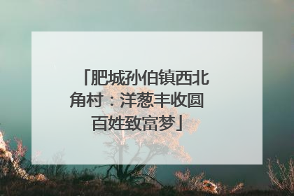 肥城孙伯镇西北角村：洋葱丰收圆百姓致富梦
