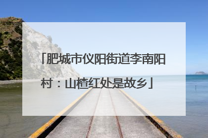 肥城市仪阳街道李南阳村：山楂红处是故乡
