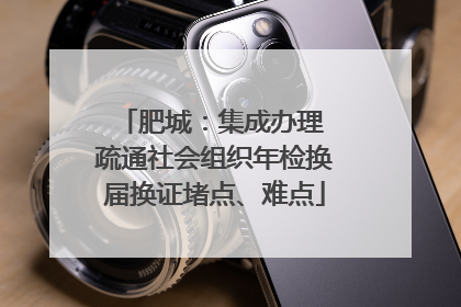 肥城：集成办理 疏通社会组织年检换届换证堵点、难点
