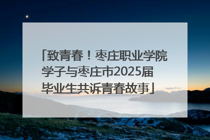 致青春！枣庄职业学院学子与枣庄市2025届毕业生共诉青春故事