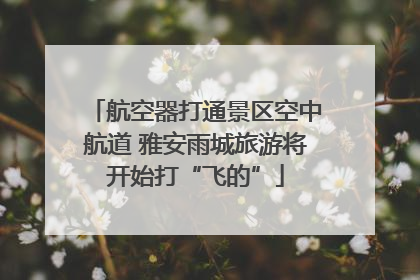 航空器打通景区空中航道 雅安雨城旅游将开始打“飞的”