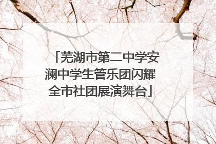 芜湖市第二中学安澜中学生管乐团闪耀全市社团展演舞台