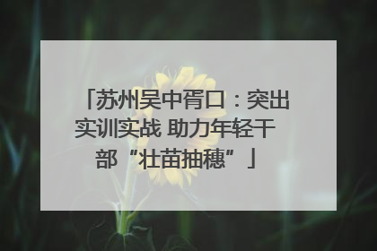 苏州吴中胥口：突出实训实战 助力年轻干部“壮苗抽穗”