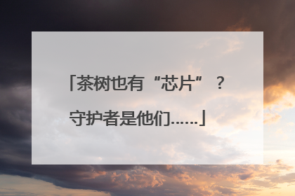 茶树也有“芯片”？守护者是他们……