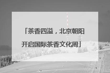 茶香四溢，北京朝阳开启国际茶香文化周