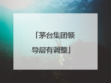 茅台集团领导层有调整