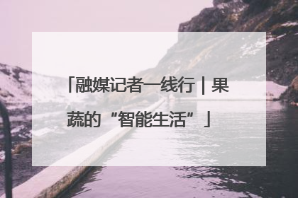 融媒记者一线行｜果蔬的“智能生活”