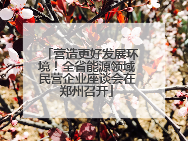 营造更好发展环境！全省能源领域民营企业座谈会在郑州召开
