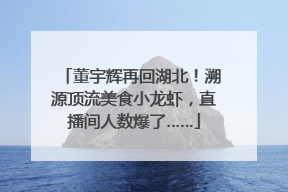 董宇辉再回湖北！溯源顶流美食小龙虾，直播间人数爆了……