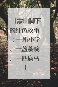 蒙山脚下的红色故事：一所小学、一盏茶碗、一匹病马