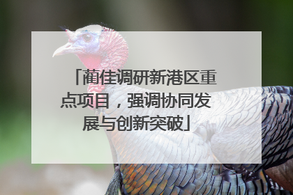 蔺佳调研新港区重点项目，强调协同发展与创新突破