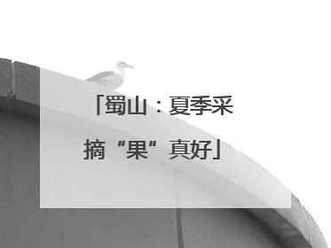 蜀山：夏季采摘“果”真好