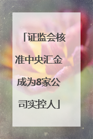 证监会核准中央汇金成为8家公司实控人