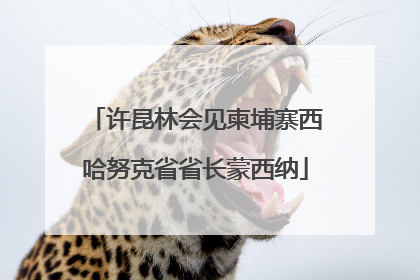 许昆林会见柬埔寨西哈努克省省长蒙西纳