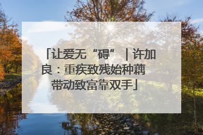 让爱无“碍”｜许加良：重疾致残始种藕 带动致富靠双手