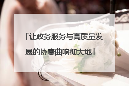 让政务服务与高质量发展的协奏曲响彻大地