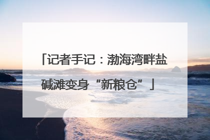 记者手记：渤海湾畔盐碱滩变身“新粮仓”