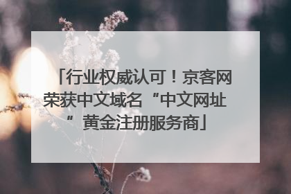 行业权威认可！京客网荣获中文域名“中文网址”黄金注册服务商