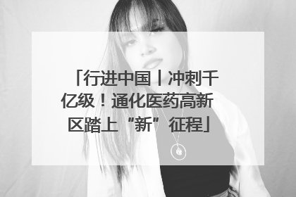 行进中国丨冲刺千亿级！通化医药高新区踏上“新”征程