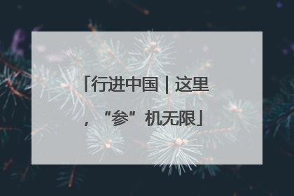 行进中国｜这里，“参”机无限