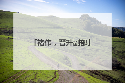褚伟，晋升副部