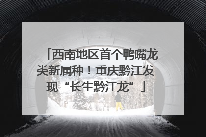 西南地区首个鸭嘴龙类新属种！重庆黔江发现“长生黔江龙”