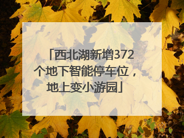 西北湖新增372个地下智能停车位，地上变小游园