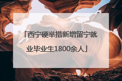 西宁硬举措新增留宁就业毕业生1800余人