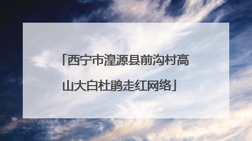 西宁市湟源县前沟村高山大白杜鹃走红网络