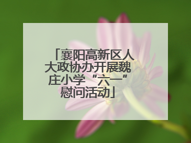 襄阳高新区人大政协办开展魏庄小学“六一”慰问活动