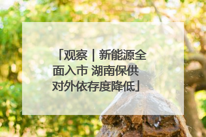 观察｜新能源全面入市 湖南保供对外依存度降低