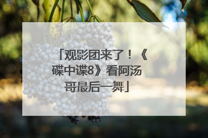 观影团来了！《碟中谍8》看阿汤哥最后一舞