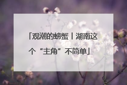 观潮的螃蟹丨湖南这个“主角”不简单