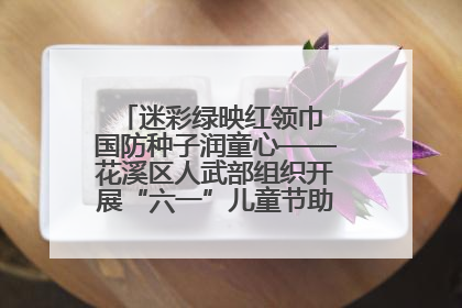 迷彩绿映红领巾 国防种子润童心——花溪区人武部组织开展“六一”儿童节助学兴教活动