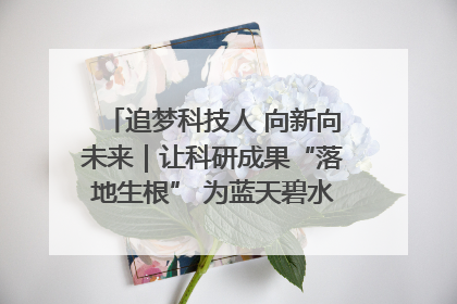 追梦科技人 向新向未来｜让科研成果“落地生根” 为蓝天碧水“保驾护航”