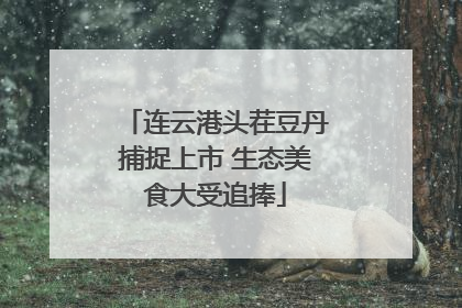 连云港头茬豆丹捕捉上市 生态美食大受追捧