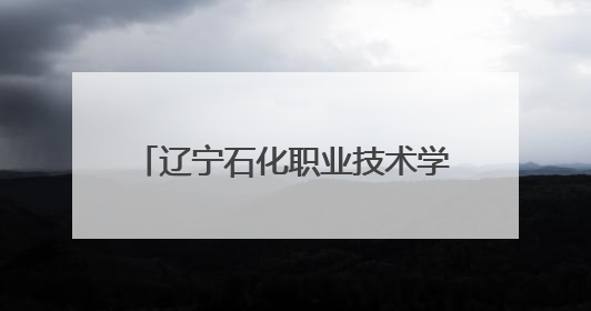 辽宁石化职业技术学院：党建联学共建，政行园企校协同育人