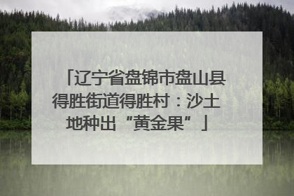 辽宁省盘锦市盘山县得胜街道得胜村：沙土地种出“黄金果”
