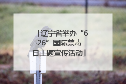 辽宁省举办“6·26”国际禁毒日主题宣传活动