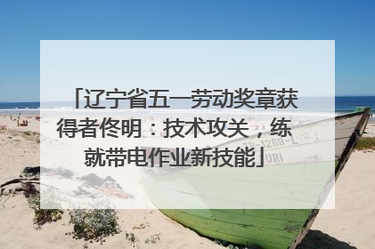 辽宁省五一劳动奖章获得者佟明：技术攻关，练就带电作业新技能