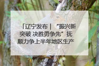 辽宁发布｜“振兴新突破 决胜勇争先”抚顺力争上半年地区生产总值增长7%左右