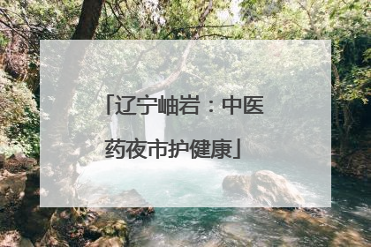 辽宁岫岩：中医药夜市护健康