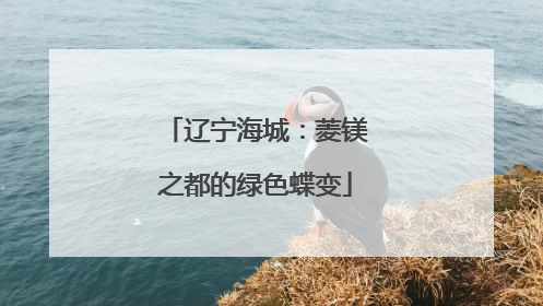 辽宁海城：菱镁之都的绿色蝶变