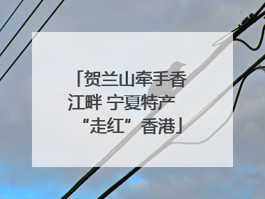 贺兰山牵手香江畔 宁夏特产“走红”香港