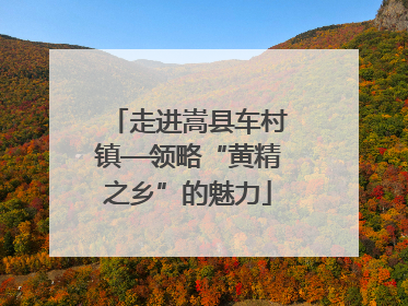 走进嵩县车村镇—领略“黄精之乡”的魅力