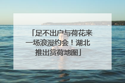 足不出户与荷花来一场浪漫约会！湖北推出赏荷地图