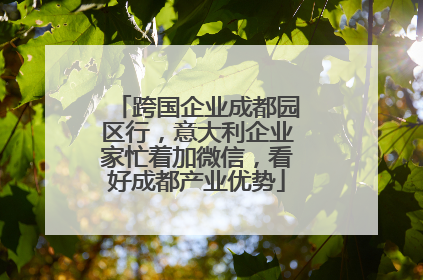 跨国企业成都园区行，意大利企业家忙着加微信，看好成都产业优势